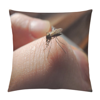 Personality  Bloodsucking Mosquitoes (Culicidae) On A Victim Pillow Covers