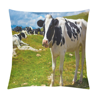 Personality  Cows On Mountain Meadow Pillow Covers