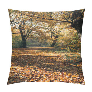 Personality  Sunshine On Fallen Autumn Leaves In Park Pillow Covers