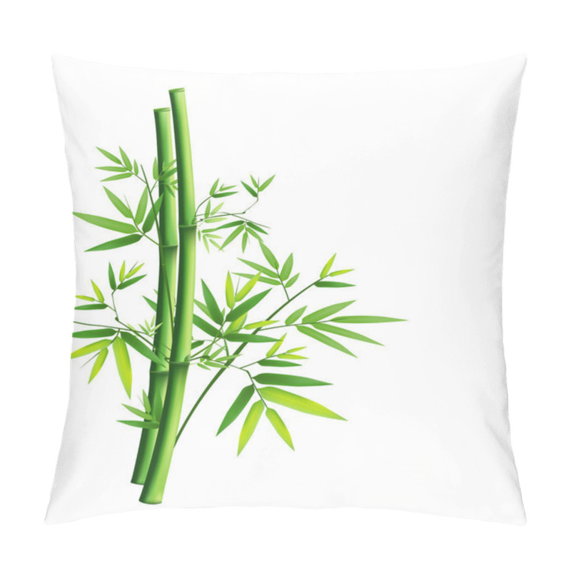 Personality  Bamboo green isolated on white background pillow covers
