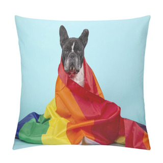 Personality  Beautiful French Bulldog Wrapped With A Rainbow Flag That Symbolizes The Rights Of Gays Looking At The Camera. Isolated On Blue Background. LGBT Concept. Pillow Covers