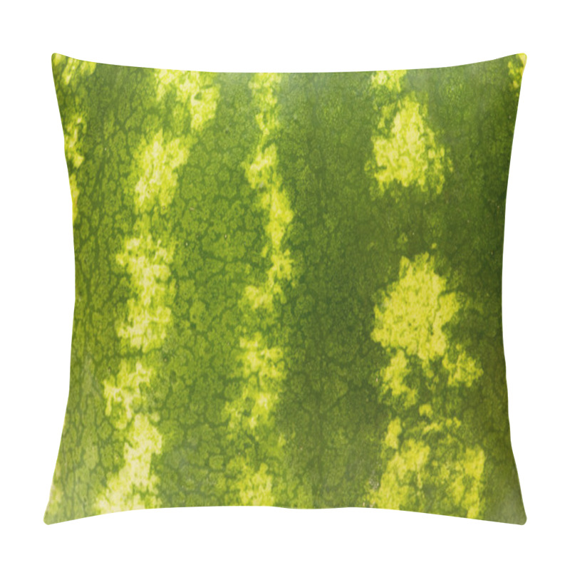 Personality  Close up - skin of the watermelon pillow covers
