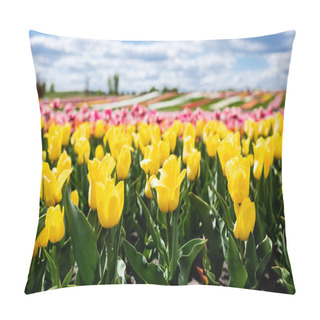 Personality  Selective Focus Of Field With Yellow Colorful Tulips Pillow Covers