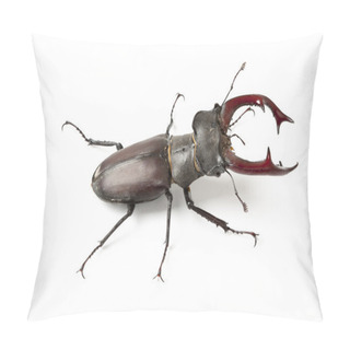 Personality Stag Beetle Pillow Covers