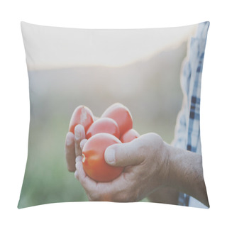 Personality  Man Holding Red Tomatoes Pillow Covers