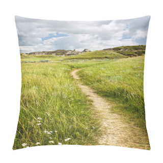 Personality  Trail In Badlands In Alberta, Canada Pillow Covers