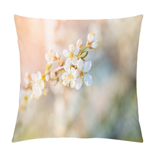 Personality  Close-up Of White Cherry Blossom Branch In The Rays Of Light. Pillow Covers