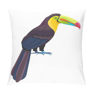 Personality  Tropical Avian Animal, Isolated Exotic Bird With Large Beak And Claws. Fauna And Wilderness Of Warm Countries. Character With Colorful Plumage And Feathers, Long Bright Tail. Vector In Flat Style Pillow Covers