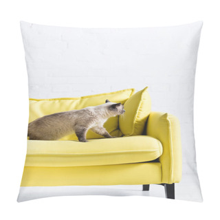 Personality  Fluffy Siamese Cat Sitting On Yellow Couch With Pillow At Home Pillow Covers