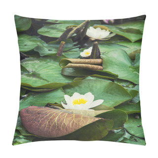Personality  Beautiful Blooming Water Lilies In The Garden Pillow Covers