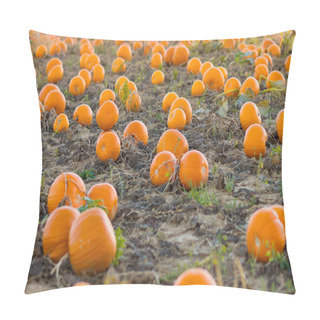 Personality  Pumpkin Patch On Farm Pillow Covers