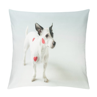 Personality  Funny Dog In Red Hearts For Valentines Day, On White Pillow Covers