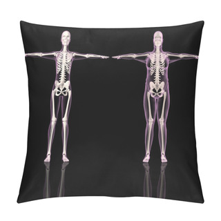 Personality  Medical Female Skeletons One Slim And One Overweight Pillow Covers