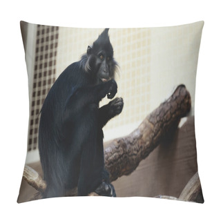 Personality  Black Monkey Sitting On Wooden Branch In Cage Pillow Covers