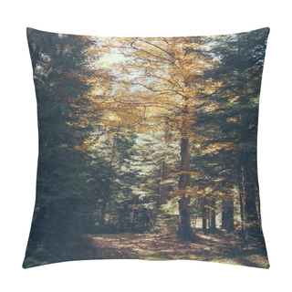 Personality  Fall Scenic Mountain Forest In Carpathians, Ukraine Pillow Covers
