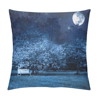 Personality  Full Moon Night In Park Pillow Covers