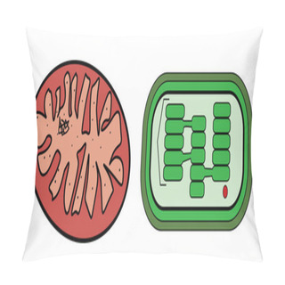 Personality  Vector Illustration Of Mitochondria And Chloroplast Pillow Covers