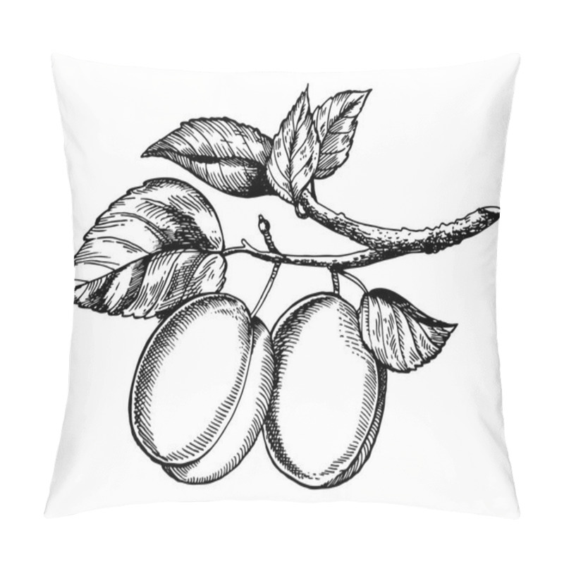 Personality  Sprig Of Plum Engraving Vector Illustration Pillow Covers