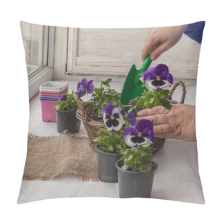 Personality  Transplanting Flowers Into Basket-pot. Female Hands Transplant The Plant Into A Basket On Balcony. Transplanting Pansy Seedlings From Pots Into A Decorative Flower Basket Pillow Covers