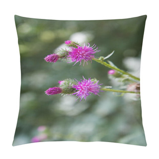 Personality  The Milk Thistle In A Meadow In Late Summer Pillow Covers