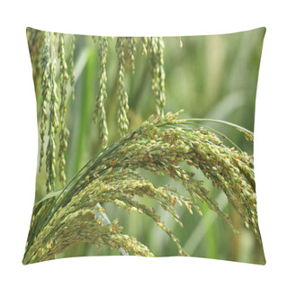 Personality  Little Millet Pillow Covers