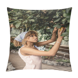 Personality  Young And Trendy African American Woman In Headscarf And Summer Dress Taking Fresh Lemon From Tree While Spending Time In Blurred Orangery, Stylish Woman With Tropical Plants At Backdrop Pillow Covers