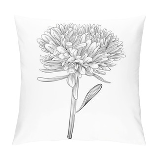 Personality  Monochrome, Black And White Aster Flower Isolated. Pillow Covers