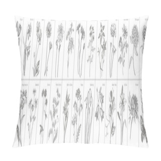 Personality  Collection Of Hand Drawn Flowers And Herbs. Botanical Plant Illustration. Vintage Medicinal Herbs Sketch Set Of Ink Hand Drawn Medical Herbs And Plants Sketch. Pillow Covers