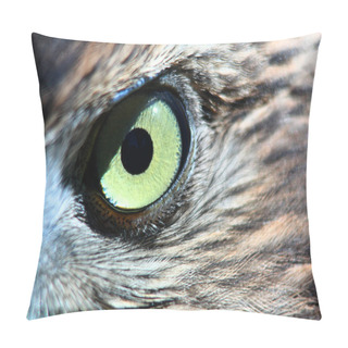 Personality  Small Hawk Eye Pillow Covers