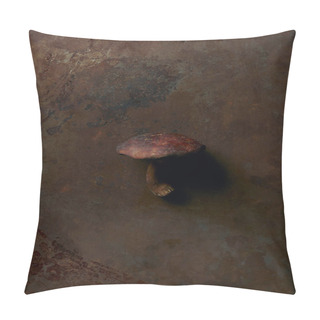 Personality  Top View Of Uncooked Suillus Mushroom On Dark Grunge Surface  Pillow Covers