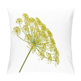 Personality  Dill Pillow Covers