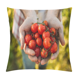 Personality  Farmer Holding Tomatoes Pillow Covers