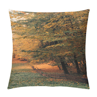 Personality  Autumn Leaves On Tree Twigs In Peaceful Forest  Pillow Covers