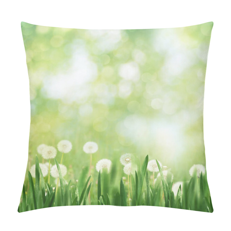 Personality  white dandelion flowers pillow covers