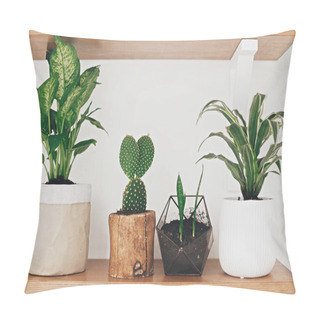 Personality  Stylish Wooden Shelves With Modern Green Plants And White Wateri Pillow Covers