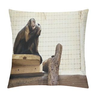 Personality  Furry And Wild Chimpanzee Sitting In Cage And Eating Bread  Pillow Covers