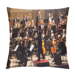 Personality  Orchestra Conductor Pillow Covers