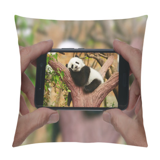 Personality  Man Taking A Photo Of Sleeping Giant Panda Pillow Covers