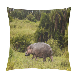 Personality  Large Hippopotamus Walking On Green Grass In Natural Environment  Pillow Covers