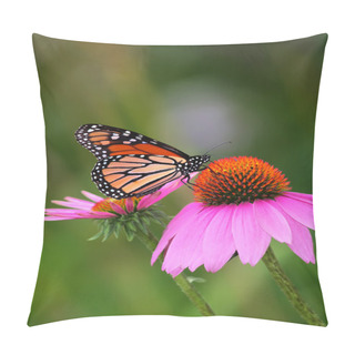 Personality  Monarch On Coneflower Pillow Covers