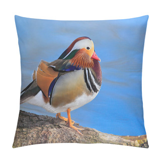 Personality  Bird Mandarin Duck, Aix Galericulata, Sitting On The Branch With Blue Water Surface In Background Pillow Covers