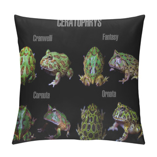 Personality  The Pacman Frogs Isolated On Black Pillow Covers