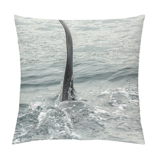Personality  Killer Whale - Orcinus Orca In Pacific Ocean. Water Area Near Kamchatka Peninsula. Pillow Covers