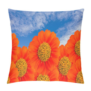 Personality  The Orange Flower With Blue Sky Pillow Covers