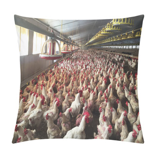 Personality  Farm Of Hens And Roosters Destined To The Production Of Fertilized Eggs To Give Broilers Pillow Covers