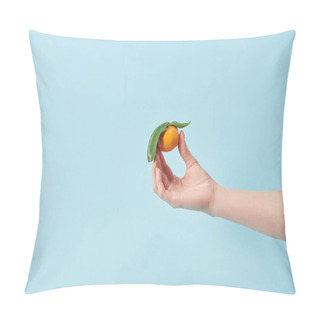 Personality  Cropped View Of Woman Holding Organic Tangerine In Hand Isolated On Blue  Pillow Covers