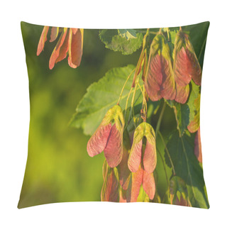 Personality  Maple Foliage And Winged Fruit Samara Pillow Covers