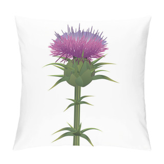 Personality  Milk Thistle , Silybum Marianum Isolated On White. Vector Pillow Covers