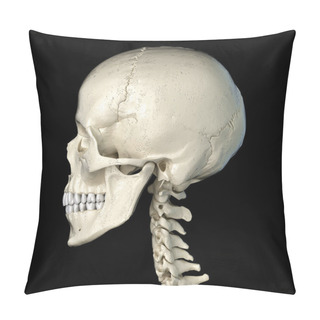 Personality  Human Skull  Viewed From A Side. Pillow Covers