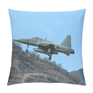 Personality  Northrop Tiger Pillow Covers